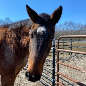 Meet your Posher, Kaylon